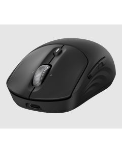 HP 705 Rechargeable Wireless EMEA mouse