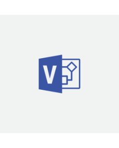 Microsoft Visio Professional 2019 Office suite Full 1 license(s) English