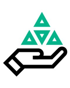 HPE E-LTU GR Subscription 1 year(s)