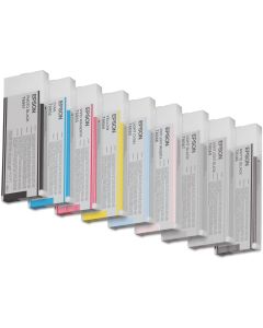 Epson Singlepack Light Black T606700 220 ml