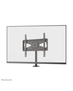 Neomounts DS42-430BL14 TV stand 32-55"- bolt-down - swivel