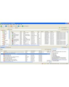 APC License, EcoStruxure IT Data Center Expert, paper, perpetual, 100 nodes