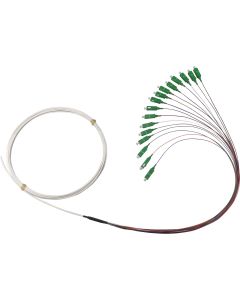 16F SCA CORRIDOR CABLE WH 50M