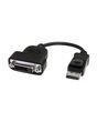 StarTech.com DisplayPort to DVI Adapter - Active DisplayPort to DVI-D Adapter/Video Converter 1080p - DP 1.2 to DVI Monitor Cable Adapter Dongle - DP to DVI Adapter - Latching DP Connector