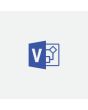 Microsoft Visio Professional 2019 Office suite Full 1 license(s) English