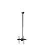 StarTech.com TV Ceiling Mount - Full-Motion Universal Hanging Single Screen Mount with Adjustable Telescopic Pole - Tilt / Swivel - VESA Bracket for 32”-75" Displays
