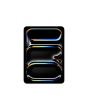 Apple iPad Pro 5G Apple M TD-LTE & FDD-LTE 256 GB 27.9 cm (11") 8 GB Wi-Fi 6E (802.11ax) iPadOS 17 Black
