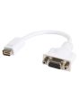 StarTech.com Mini DVI to VGA Video Cable Adapter for Macbooks and iMacs