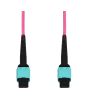 AddOn Networks ADD-MPOMPO-2M5OM4LZ-MA InfiniBand/fibre optic cable 2 m MPO OFNG Aqua colour, Magenta