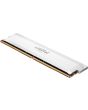 Crucial Pro CP16G60C36U5W memory module 16 GB 1 x 16 GB DDR5