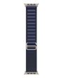 Apple 49mm Navy Alpine Loop - Large - Natural Titanium Finish