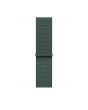 Apple 46mm Lake Green Sport Loop