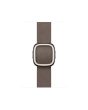 Apple 42mm Dark Taupe Modern Buckle - Medium