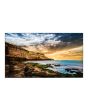 Samsung 65" Crystal UHD 4K Signage QE65T