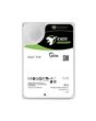 Seagate Enterprise ST14000NM000J internal hard drive 14 TB 7200 RPM 256 MB 3.5" Serial ATA III