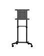 StarTech.com Mobile TV Cart - Portable Rolling TV Stand for 37-70" VESA Display (154lb/70kg) - TV Stand w/Shelf & Storage Compartment - Rotate/Tilt Display - Universal TV Mount on Wheels